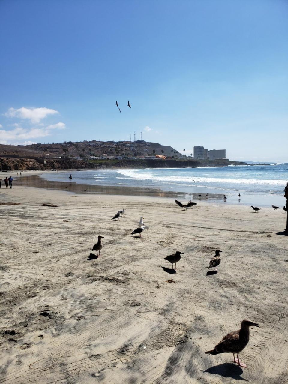 Calfia Condo Rosarito Esterno foto